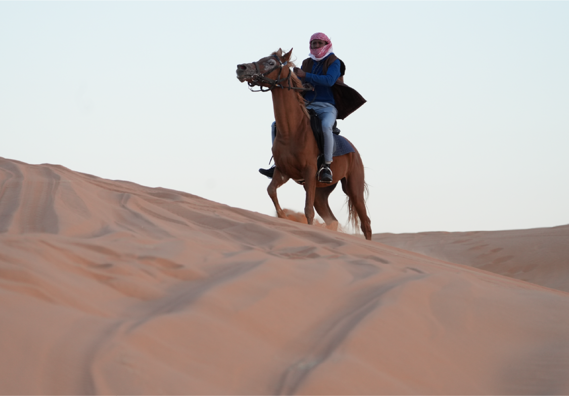 Horse Riding