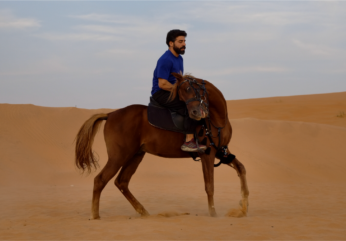 Horse Riding