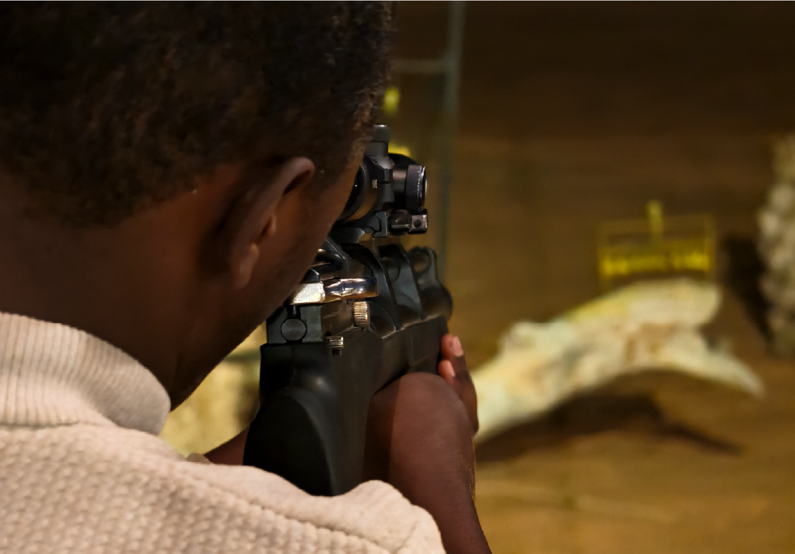 Air Rifle Shooting