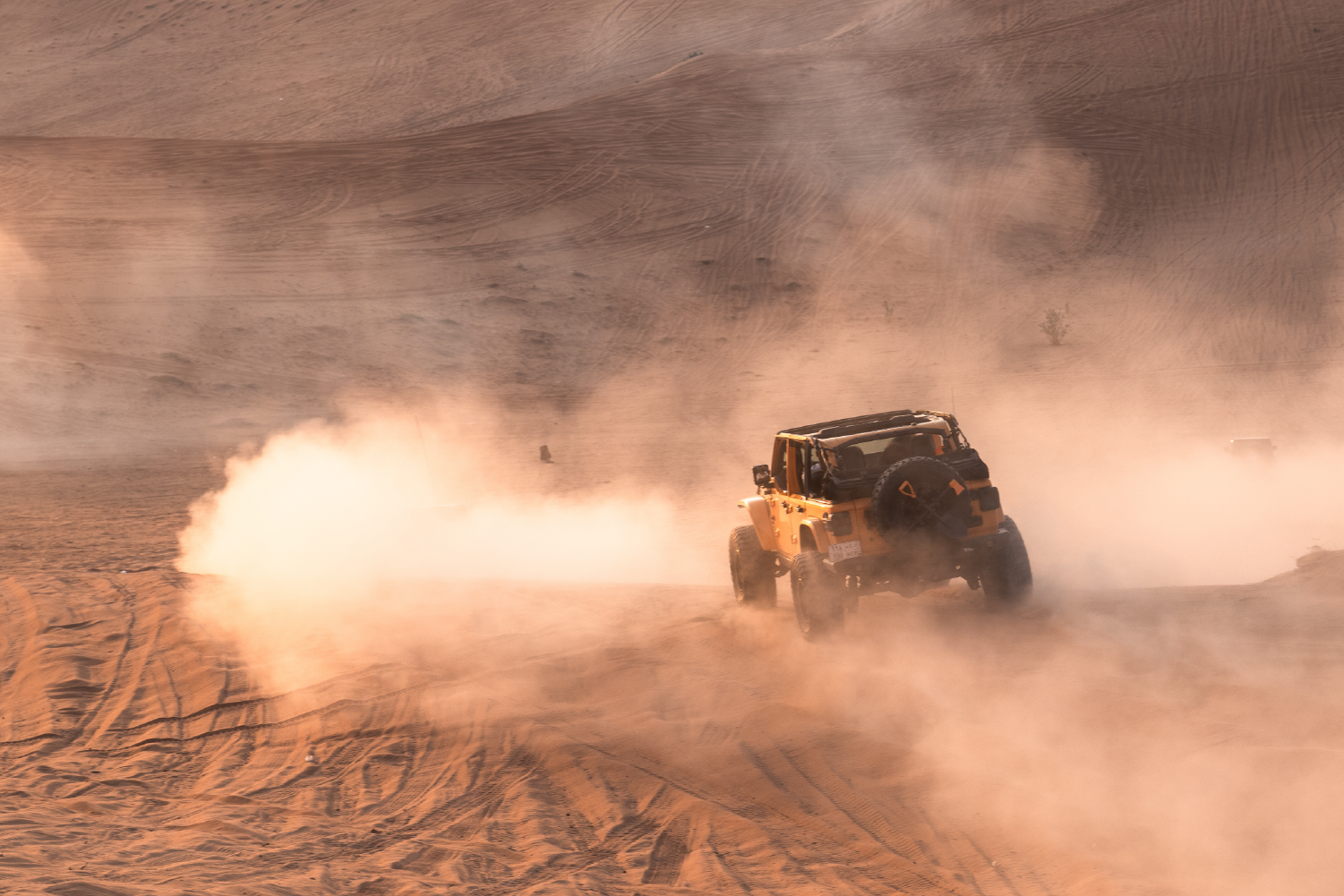 VIP Red Sands Wrangler Safari (up to 3 pax)
