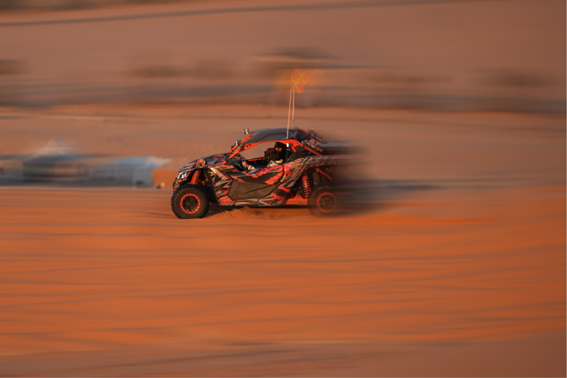 Buggy Safari